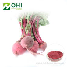 Red Beet Root Powder